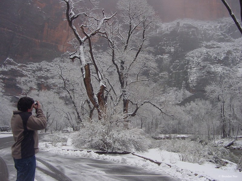 Zion National Park - Zion National Park 1-05 516
